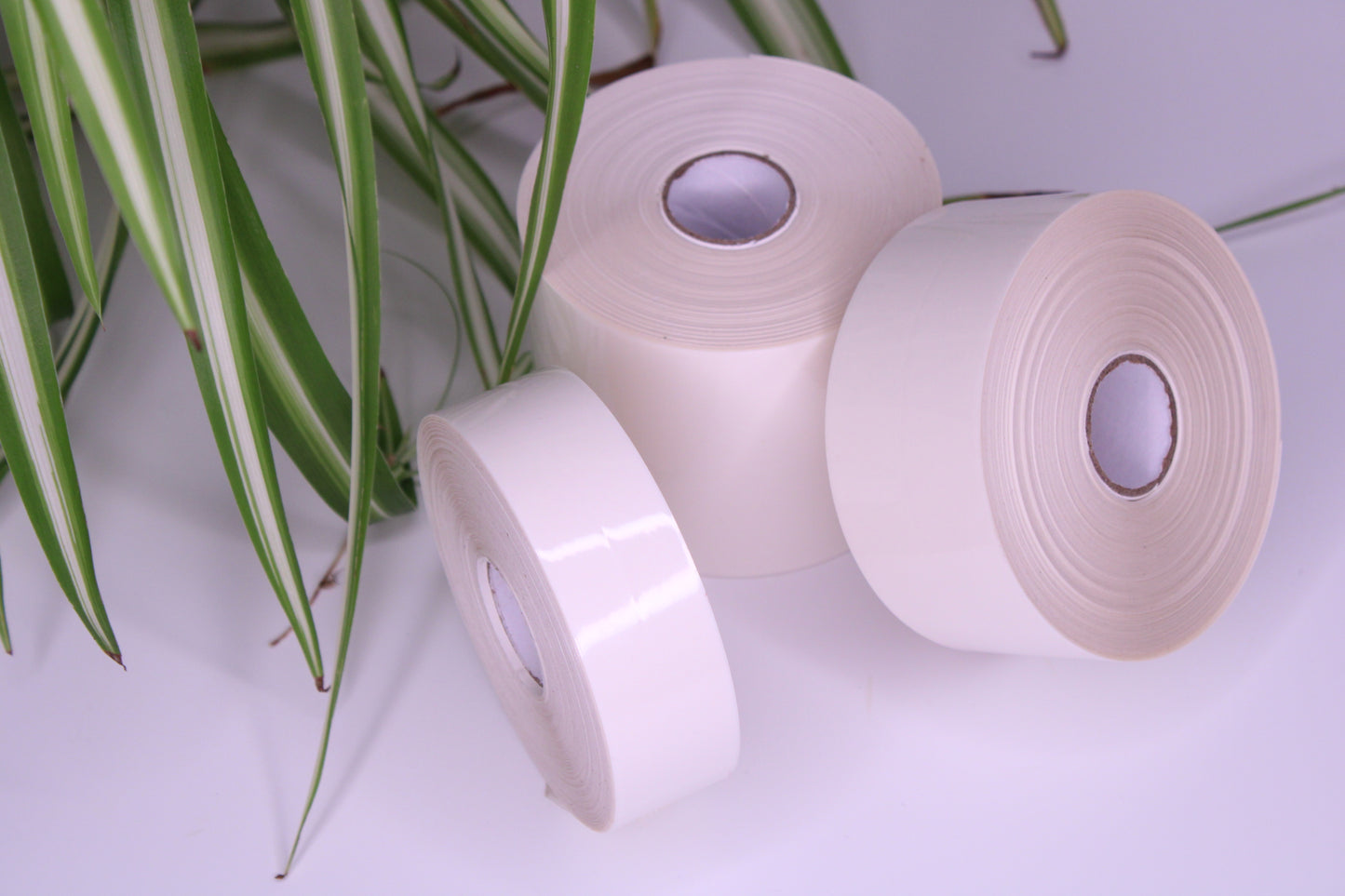 Label tape, transparent, 50m